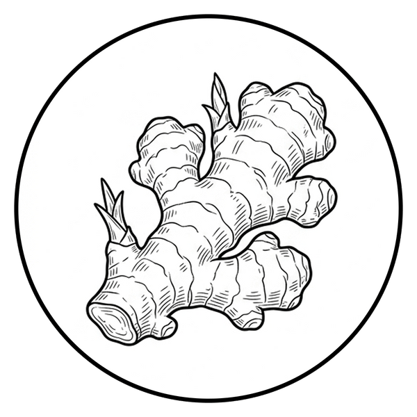 Ginger Root